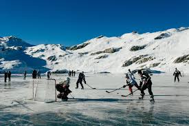 Hockey photo 8